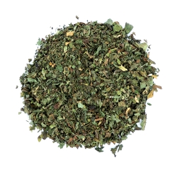 Menta