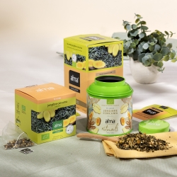 Té Verde Jengibre Cúrcuma