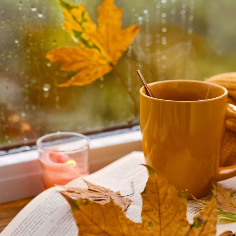 Back to Routine: Small Rituals to Take Care of Yourself After Summer